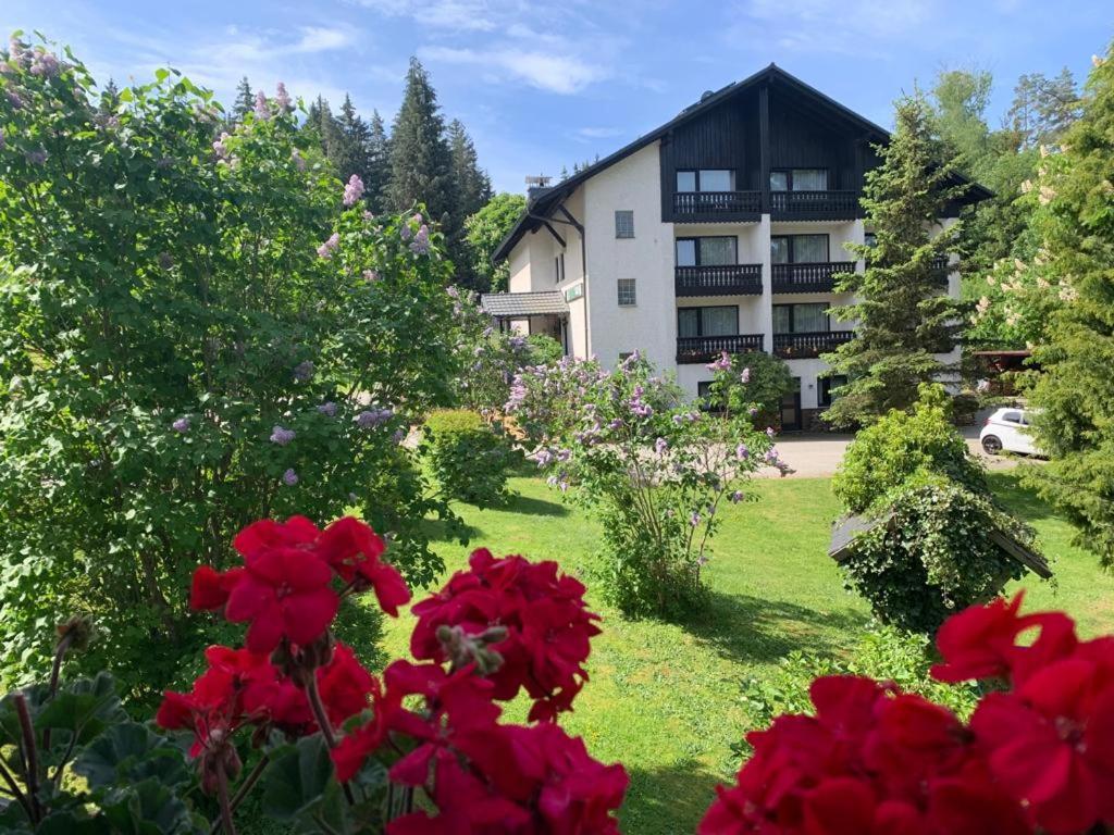 Landhaus Am Forst Bad Alexandersbad Extérieur photo