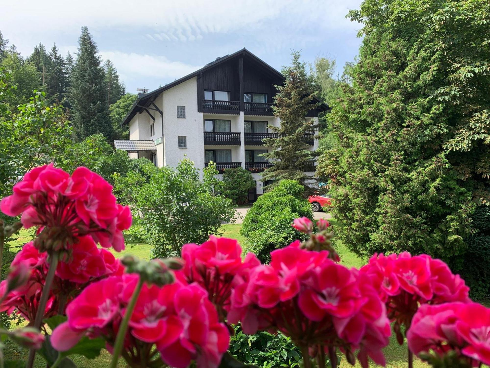 Landhaus Am Forst Bad Alexandersbad Extérieur photo