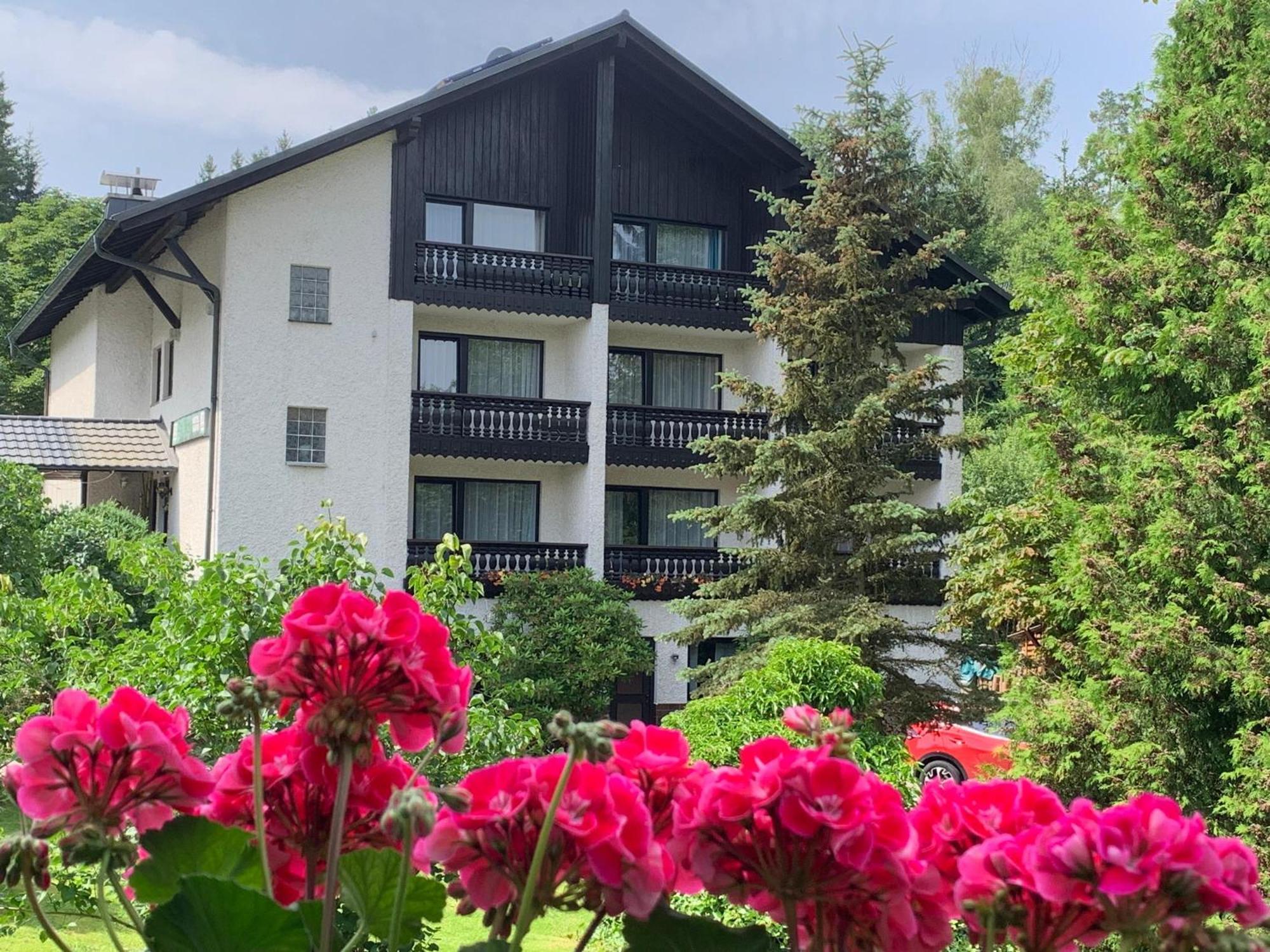 Landhaus Am Forst Bad Alexandersbad Extérieur photo